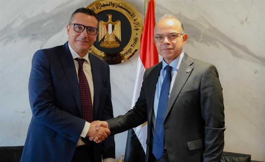 Investment Minister names Alaa Bially new EECA chairman